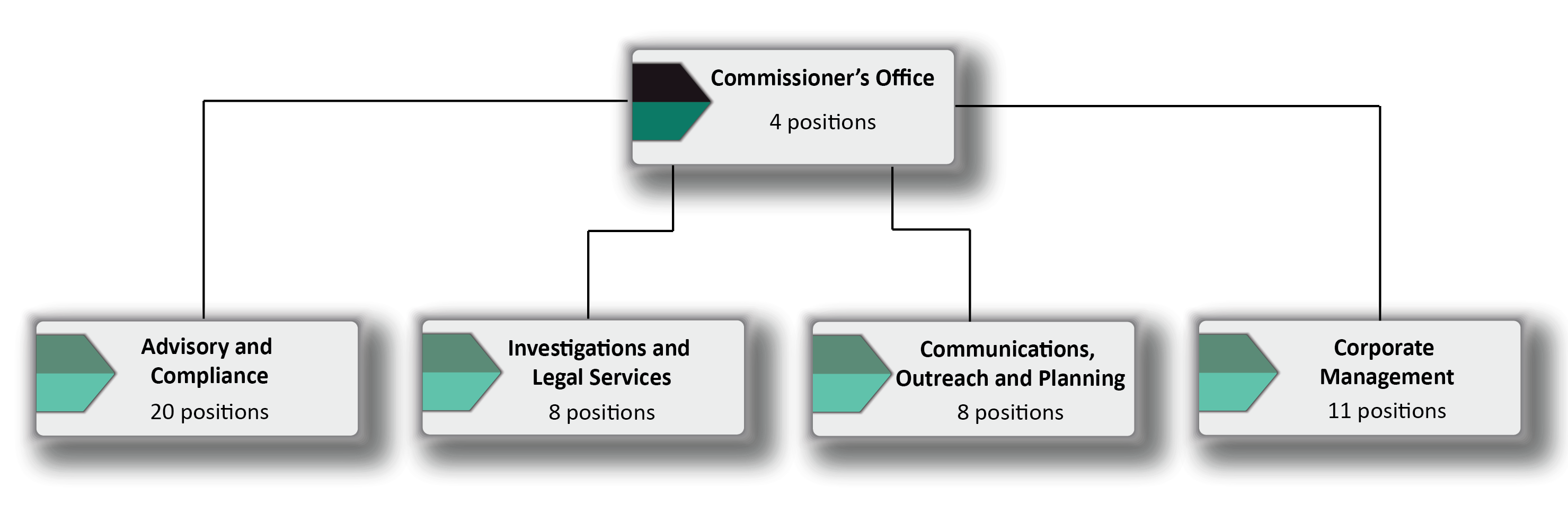 Organizational chart describing the distribution of positions within the Office